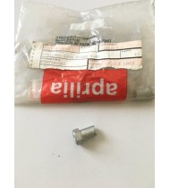 AP8101103 REGISTRO FRENO POST. APRILIA CLASSIC 125 GULLIVER MOJTO RALLY 50 SR 50 125 150