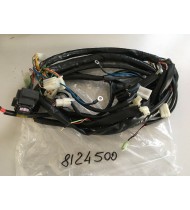 AP8124500 CABLAGGIO PRINCIPALE APRILIA SCARABEO 125 150 200 ROTAX 1999-2004