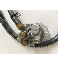 hover image