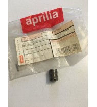 AP8502533 VITE REGISTRO FRIZIONE APRILIA CLASSIC 50 RS 50 TUAREG RALLY 50 AF1 RX MX 50