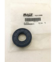 PAROLIO VARIATORE MALAGUTI CIAK 50 F10 F12 F15 75312500