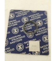 KIT SEGMENTI PISTONE 41mm MALAGUTI CR1 CROSSER 50 61719400 KIT SEGMENTI PISTONE 41mm MALAGUTI CR1 CROSSER 50 61719400