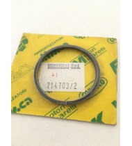 SERIE SEGMENTI D. 41x1,5 (MAG) ORIGINALE MALAGUTI F10 F12 F15 77112201