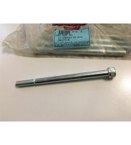 VITE CAVALLETTO CENTRALE 10X150 MALAGUTI F12 FIFTY CR1 CROSSER 19002800