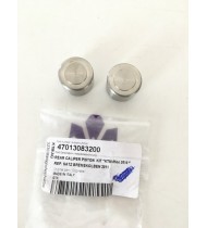 47013083200 KIT PISTONCINI FRENO POST. ORIGINALE KTM SX 85 FREERIDE 250 350