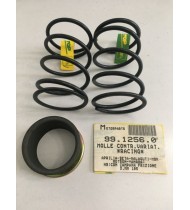KIT MOLLE CONTRASTO VARIATORE RACING MINARELLI APRILIA MALAGUTI MBK 9912560