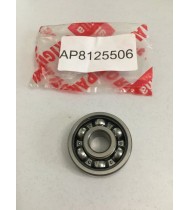 AP8125873 CUSCINETTO 6204 20X47X14  RUOTA POST. APRILIA ETV CAPONORD 1000