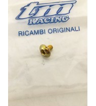 VITE M6x7 TBCE ORO PER STELI PLASTICHE ORIGINALE PER MOTO TM 49571