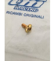 VITE M6x12 TBCE ORO PER STELI PLASTICHE E SERBATOIO ORIGINALE TM 2T 49574